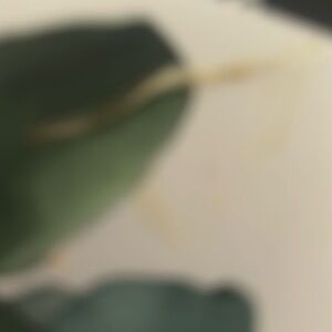 Meet your Posher, Diego